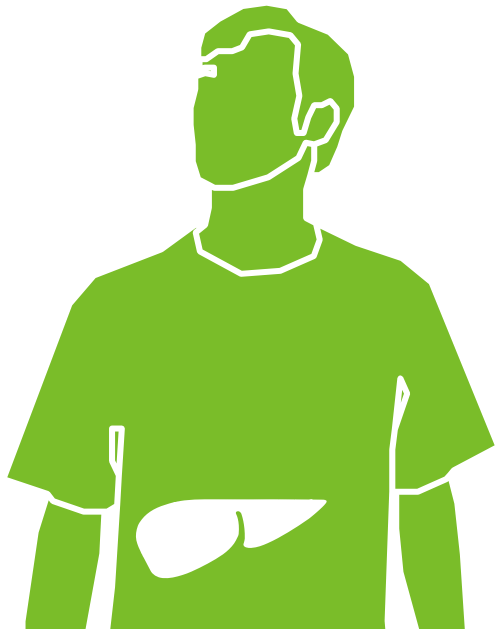 Icon showing where the liver is located.
